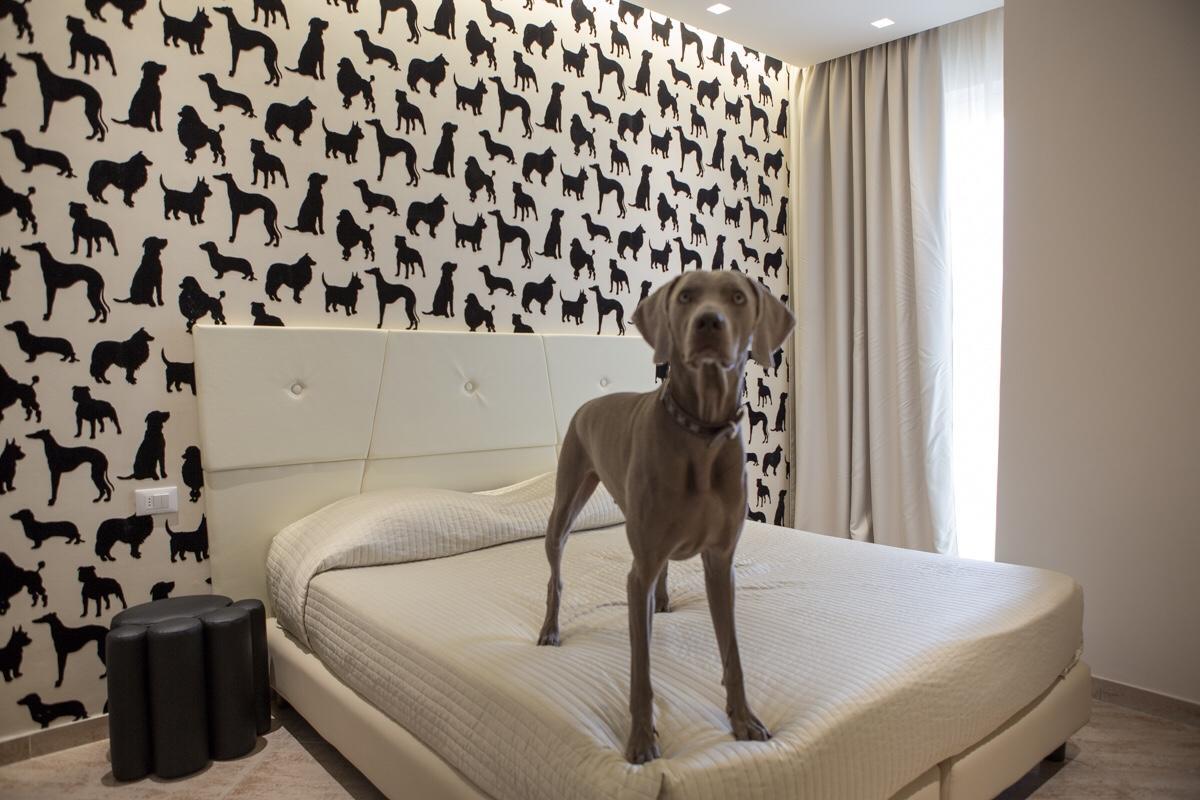 Hotel Principe Rimini Eksteriør bilde