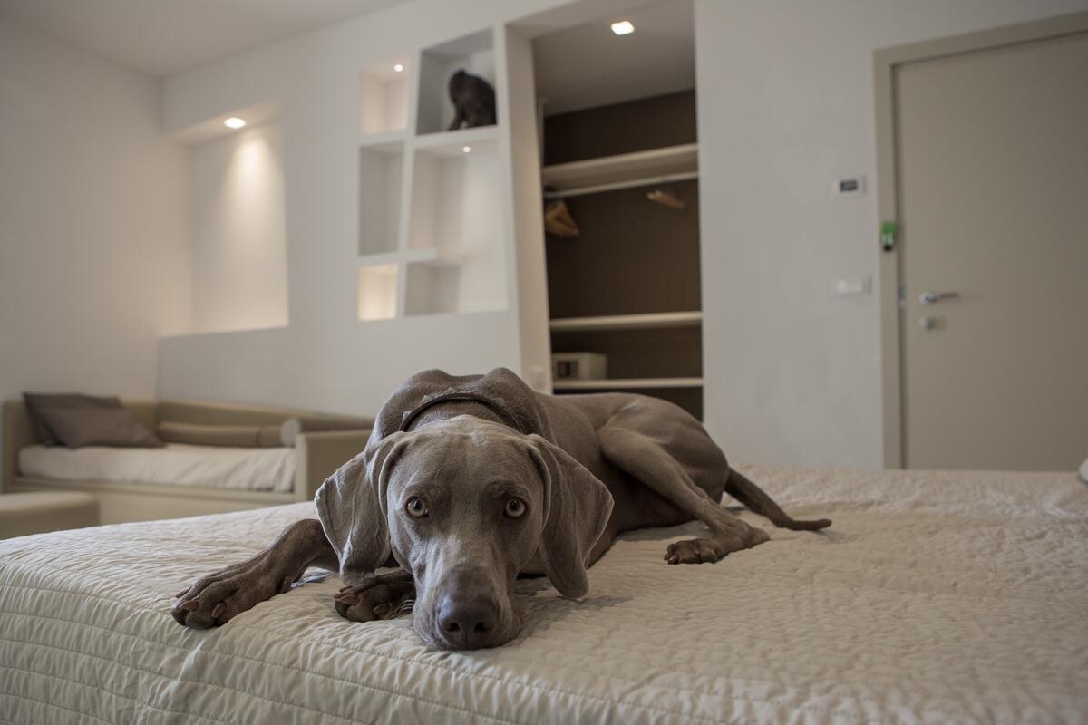 Hotel Principe Rimini Eksteriør bilde
